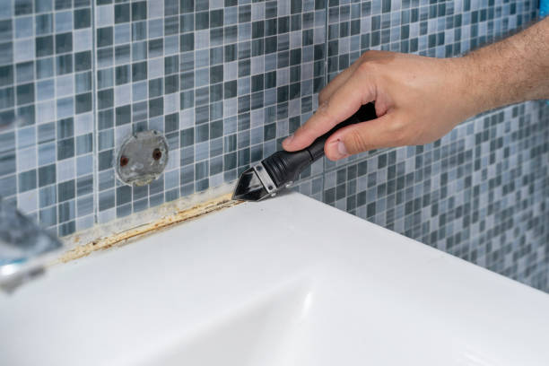 Best Black Mold Removal  in Cimarron Hills, CO