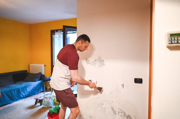 Best Mold Testing  in Cimarron Hills, CO