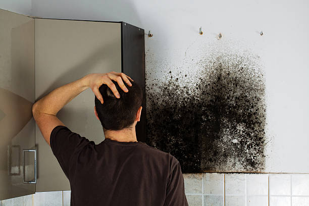 Best Attic Mold Removal  in Cimarron Hills, CO